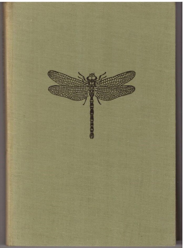 004-4 W świecie owadów_ - obrazek 1