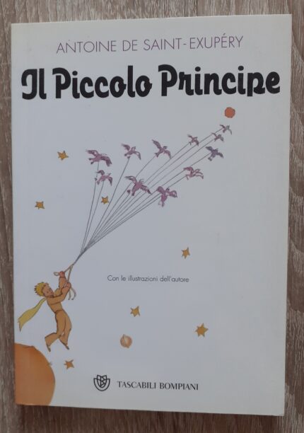 Il Piccolo Principe_