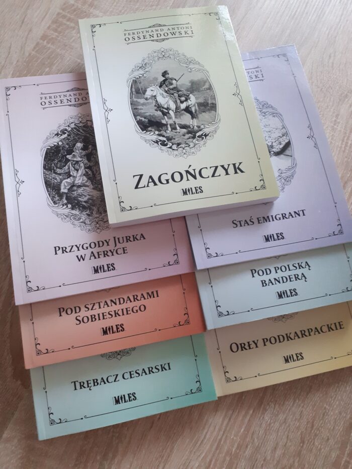 Zestaw: Zagończyk, Pod polską banderą, Pod sztandarami Sobieskiego, Orły podkarpackie, Trębacz cesarski, Przygody Jurka w Afryce, Staś emigrant, Nauczycielka, Najwyższy lot, Na skrzyżowaniu dróg - obrazek 1