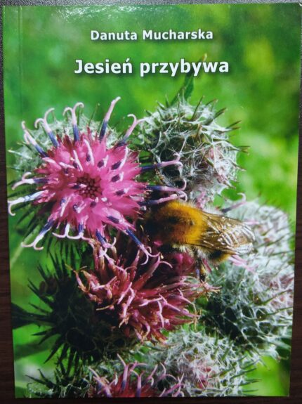 Jesień przybywa_