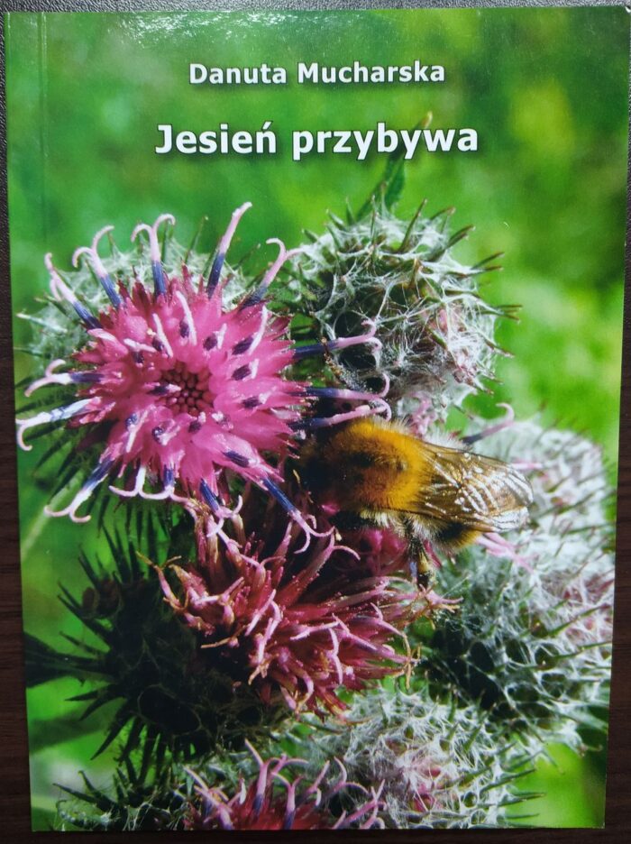Jesień przybywa_ - obrazek 1