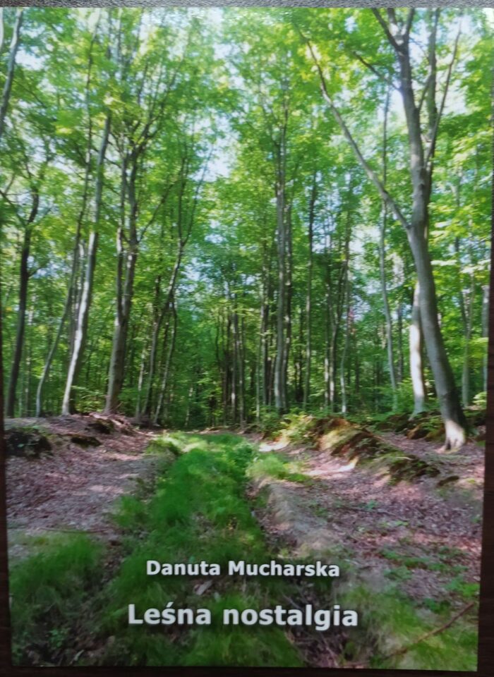 Leśna nostalgia_ - obrazek 1
