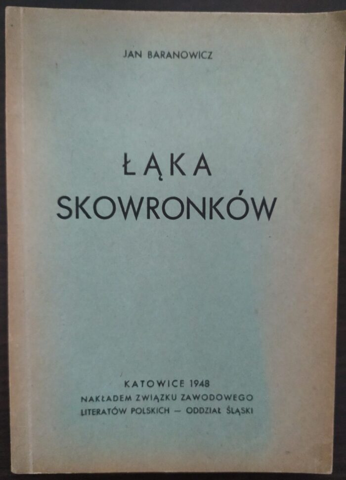 Łąka skowronków - obrazek 1