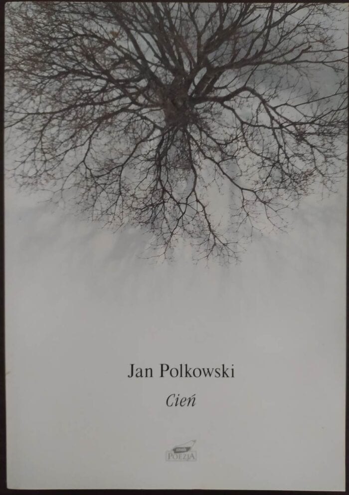 Cień - obrazek 1