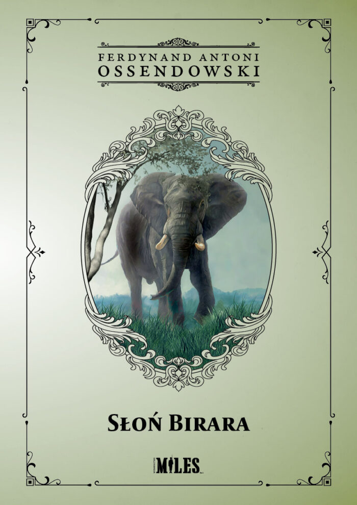 Słoń Birara - obrazek 1