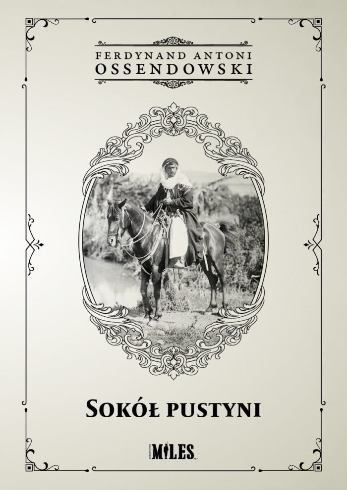 Sokół Pustyni - obrazek 1