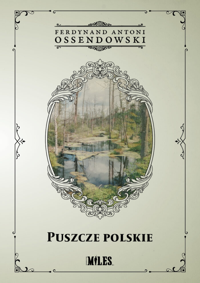 Puszcze polskie - obrazek 1