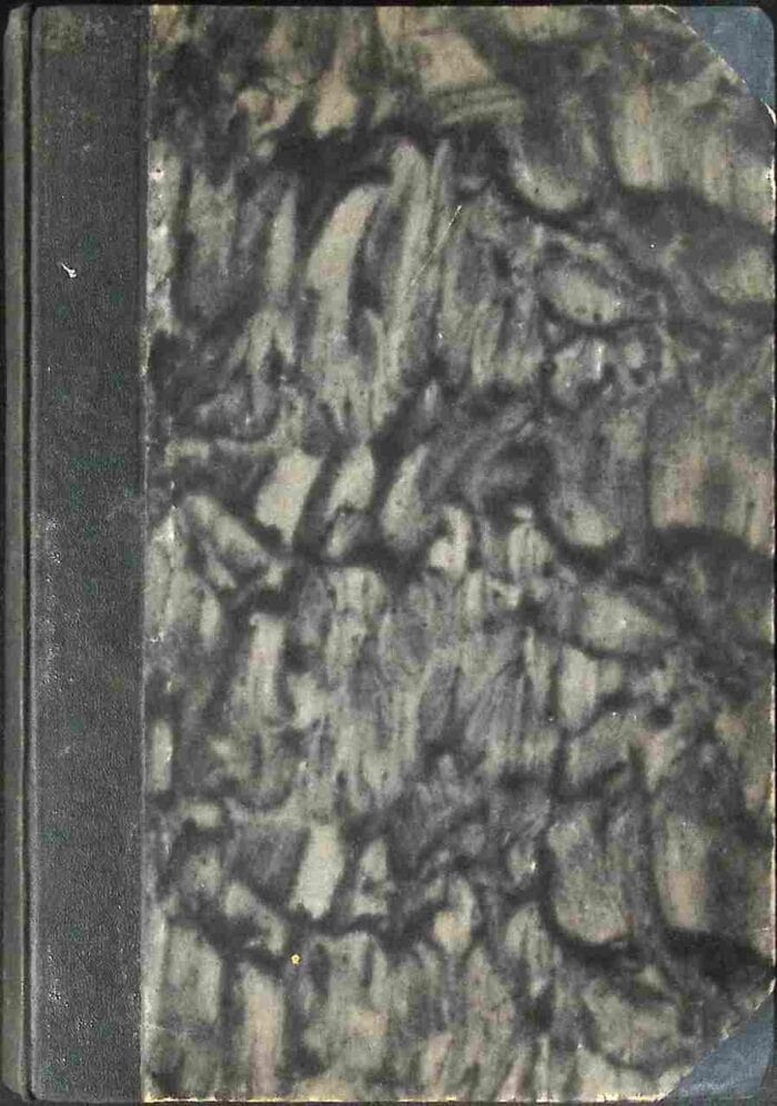 W pogoni za nieskończonością. Konferencje apologetyczne wygłoszone w Paryżu r. 1929 - obrazek 2