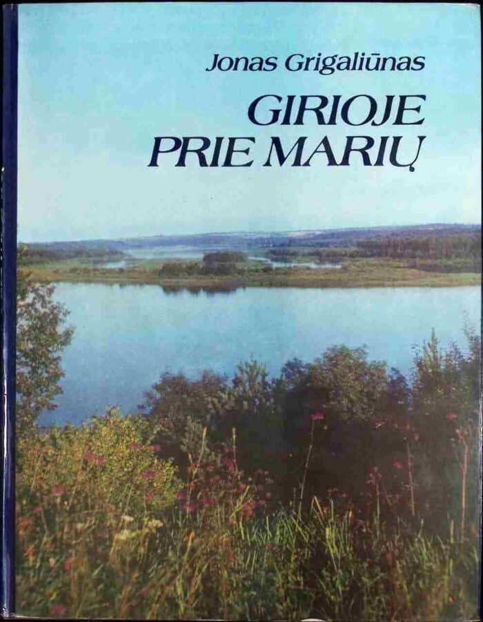 Girioje Prie Mariu - obrazek 1