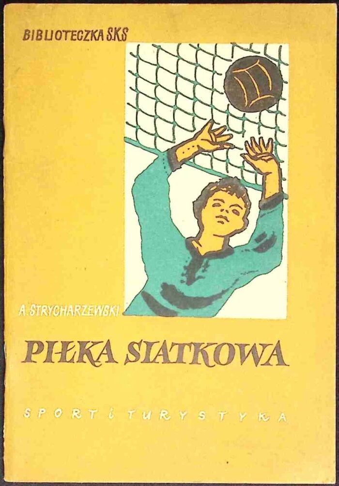 Piłka siatkowa - obrazek 1