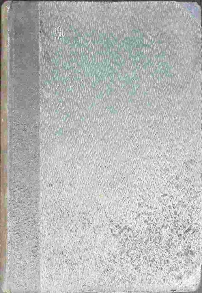 Homiletyka duszpasterska. Zbiorowy podręcznik nauki kaznodziejstwa dla polskiego kleru - obrazek 2