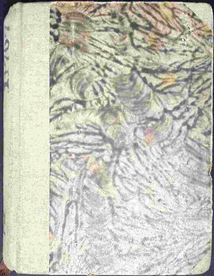 Alkhadar. Ustęp z dziejów ojców naszych, t. II - obrazek 2