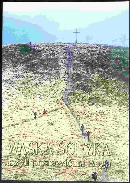 Wąska ścieżka czyli postawić na Boga. 366 myśli Ojca Ludwika Chodzidło CM