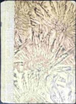 Życie Matwieja Kożemiakina - obrazek 2