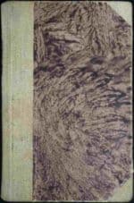 Zwierzęta niezwierzęta - obrazek 2