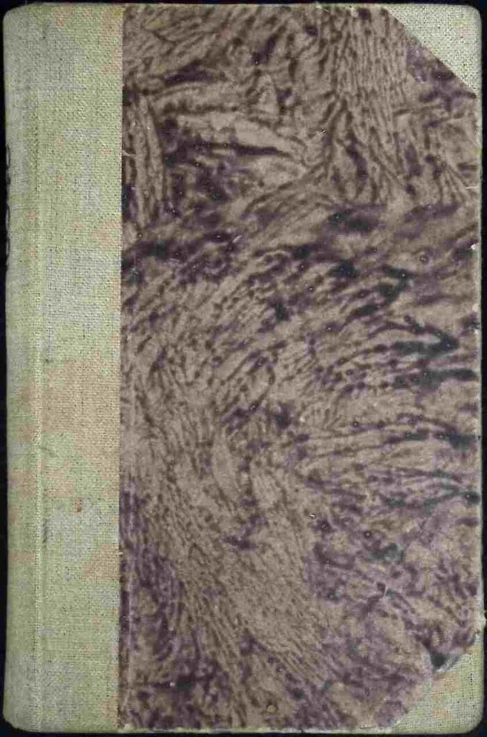 Zwierzęta niezwierzęta - obrazek 2