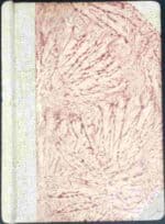 Dramat Etjopji - obrazek 2