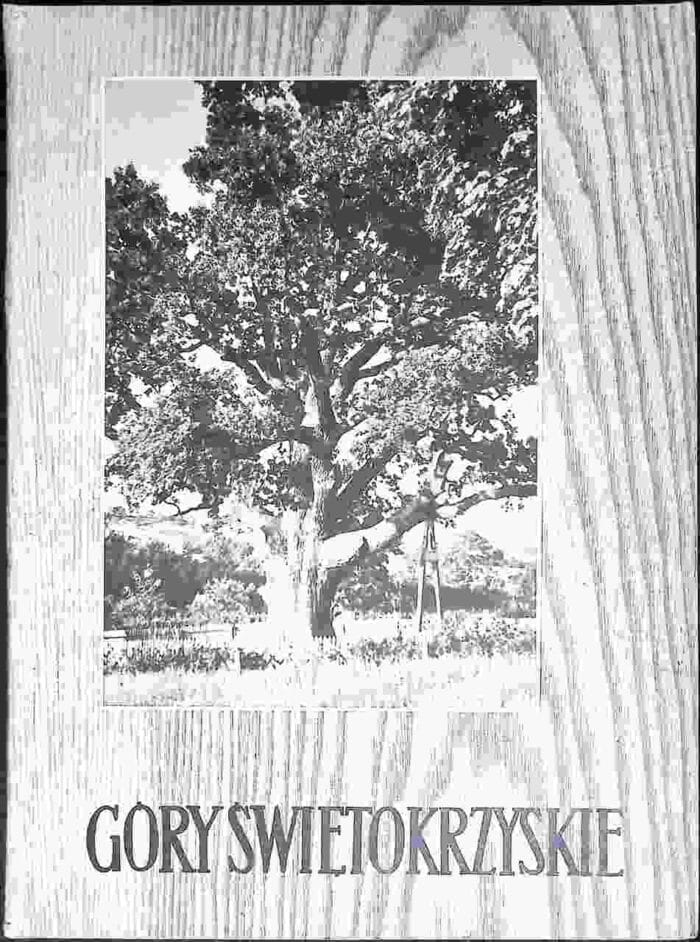 Góry Świętokrzyskie - obrazek 1