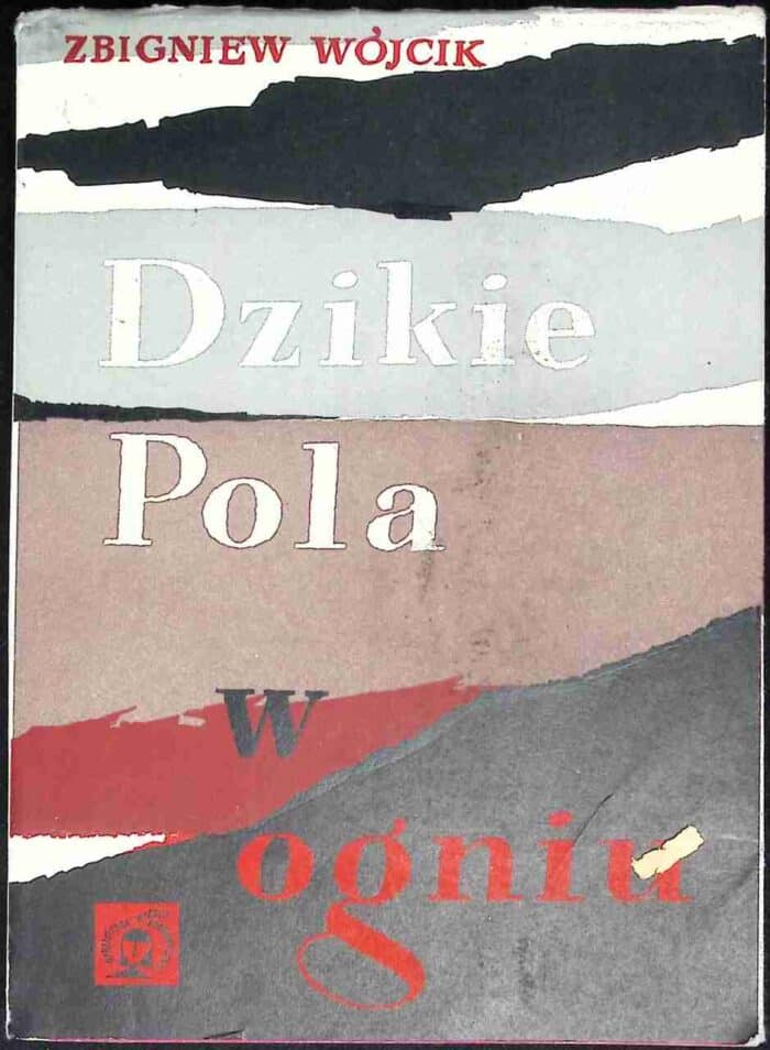 Dzikie Pola w ogniu. O Kozaczyźnie w dawnej Rzeczypospolitej - obrazek 1
