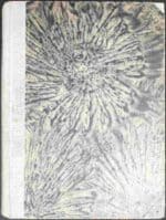 Parowiec "Kachetia" - obrazek 2