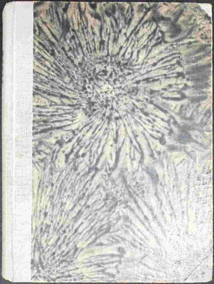 Parowiec "Kachetia" - obrazek 2