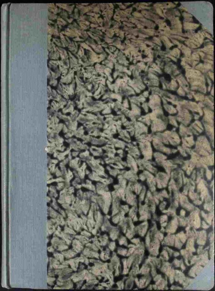 Miecznikow - obrazek 2