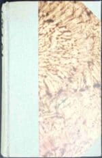 Rodzina Ławrowów - obrazek 2