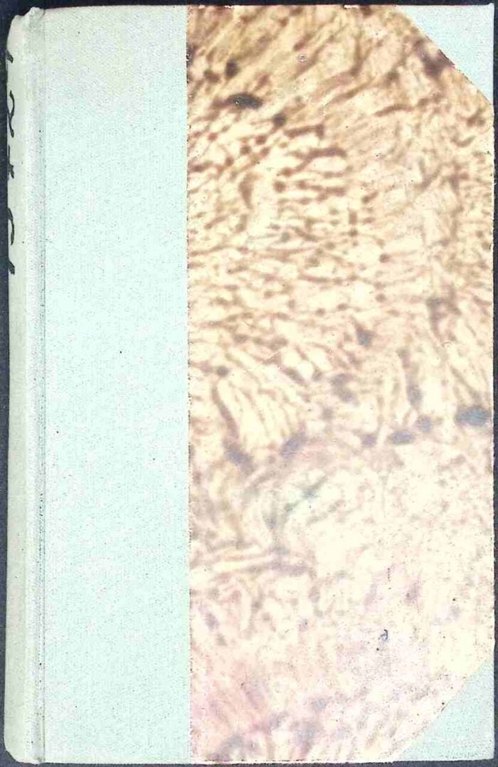 Rodzina Ławrowów - obrazek 2