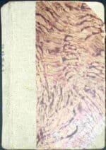 Szpital Czerwonego Krzyża - obrazek 2