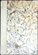 Praca najważniejsza (materjały do pogadanek w stowarzyszeniach) - obrazek 2