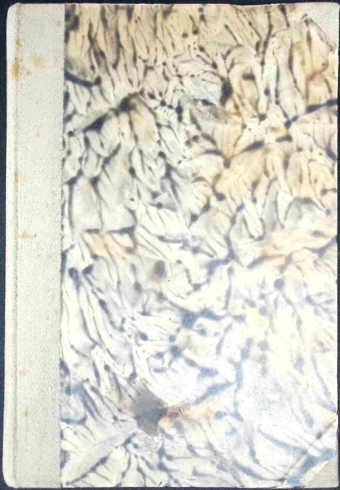 Praca najważniejsza (materjały do pogadanek w stowarzyszeniach) - obrazek 2