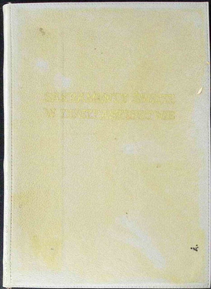 Sakramenty święte w duszpasterstwie - obrazek 2