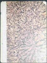 Romans ze sztucerem. Powieść myśliwska - obrazek 2