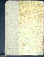 Pod biegunem kwitną kwiaty - obrazek 2