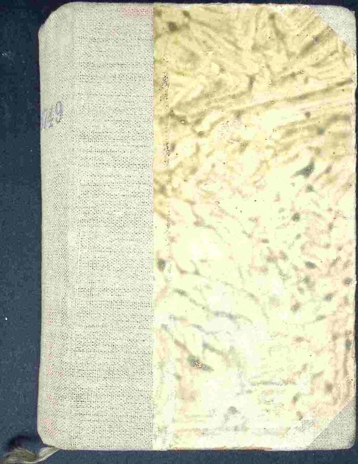 Pod biegunem kwitną kwiaty - obrazek 2