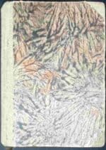 Szlakiem klęski - obrazek 2