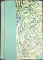 Cień Alei Lipowej - obrazek 2