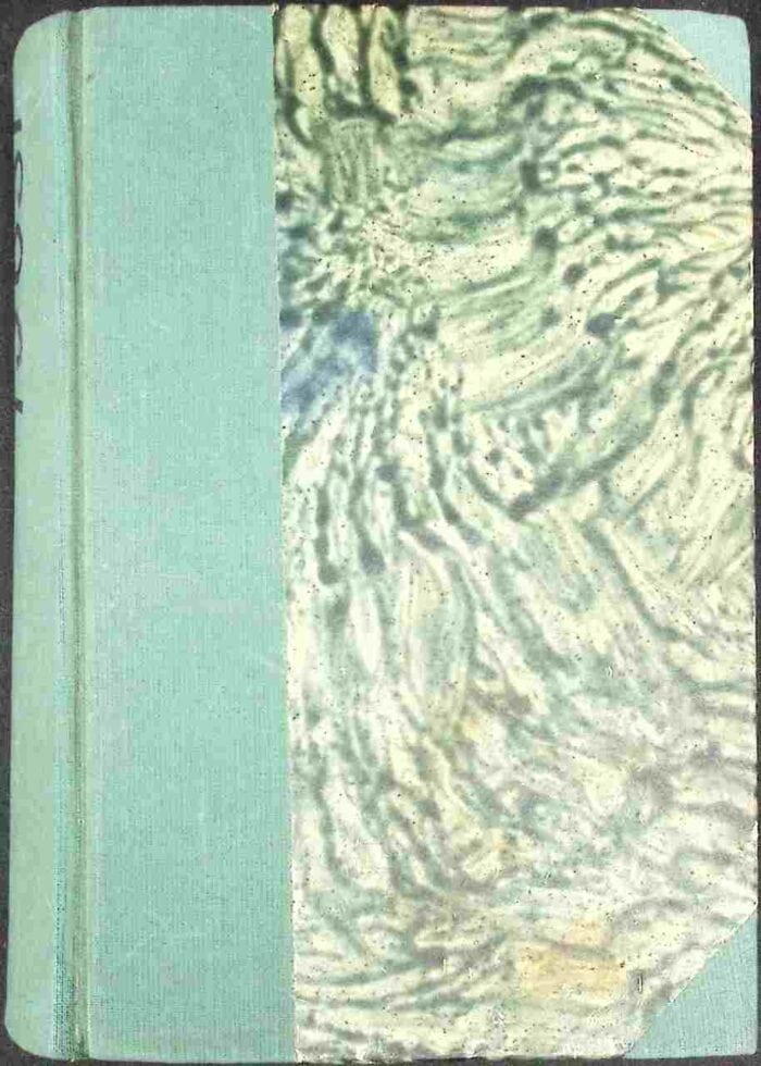 Cień Alei Lipowej - obrazek 2