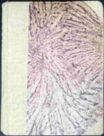 Pan na Piaskowym Zamku - obrazek 2