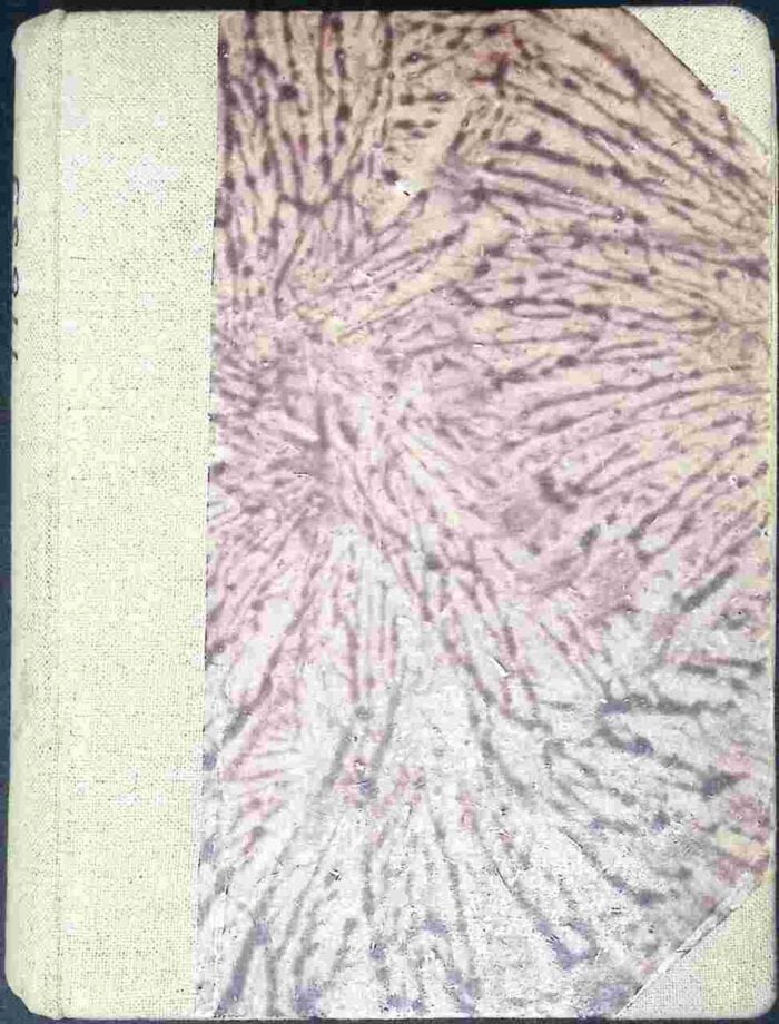 Pan na Piaskowym Zamku - obrazek 2