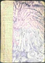 Constance - obrazek 2