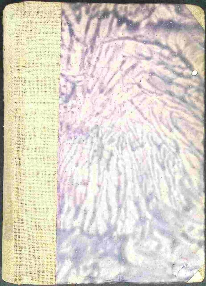 Constance - obrazek 2