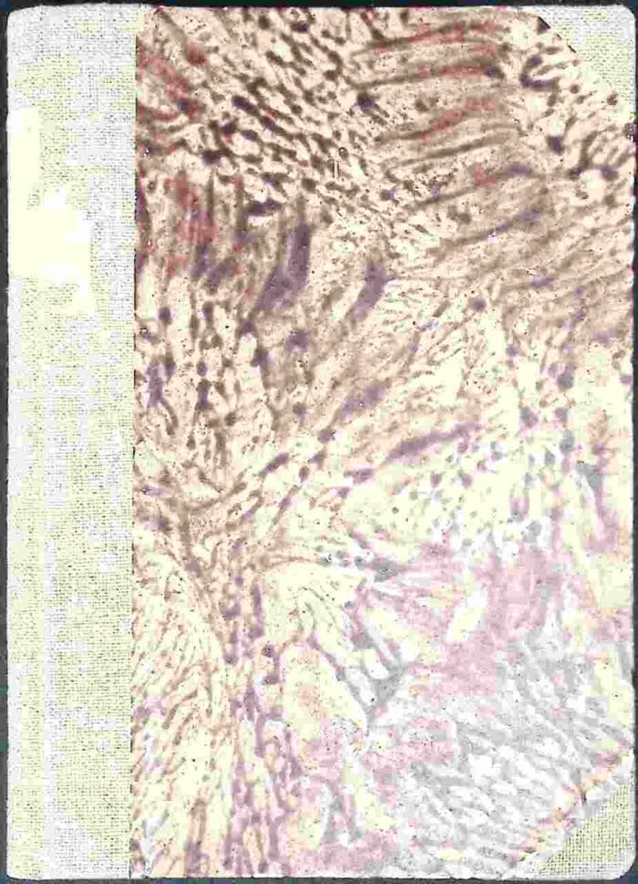 Moje podróże - obrazek 2