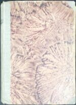 W rodzinie Lebiodów - obrazek 2