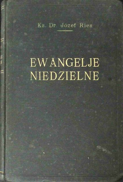 Ewangelje niedzielne, t. I (1936)