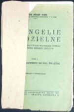 Ewangelje niedzielne, t. I - obrazek 2