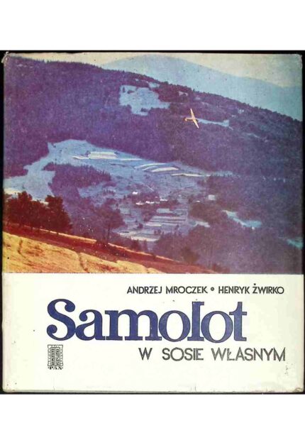 Samolot w sosie własnym