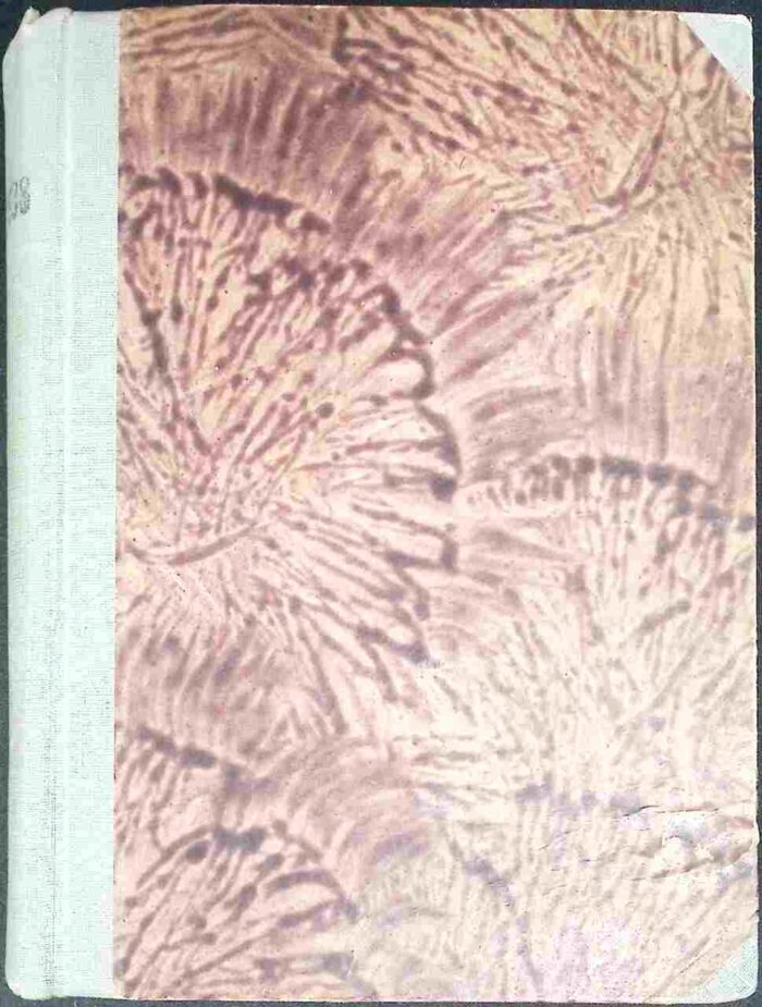 Arktyka na codzień - obrazek 2