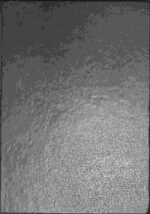 Schematyzm archidiecezji w Lubaczowie 1981 r. - obrazek 2