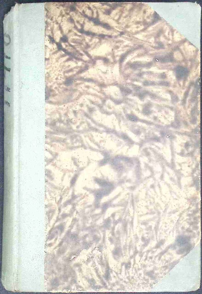 Dans L'Ombre de la Cathedrale - obrazek 2